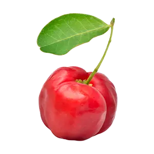 Acerola