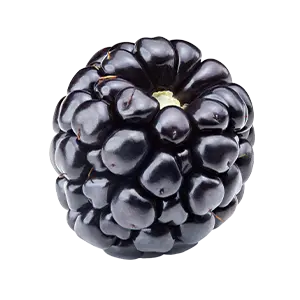 Brombeere