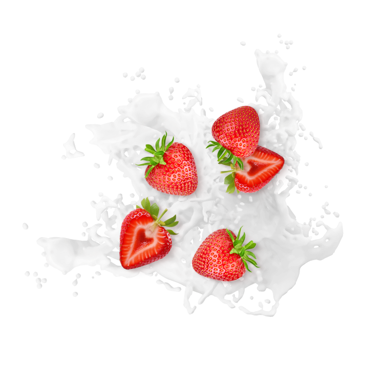 Splash Image