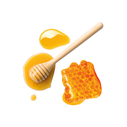 Pure Honey / 150g