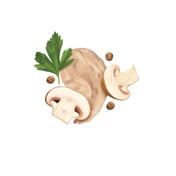 Creamy Mushroom-Style / 285ml