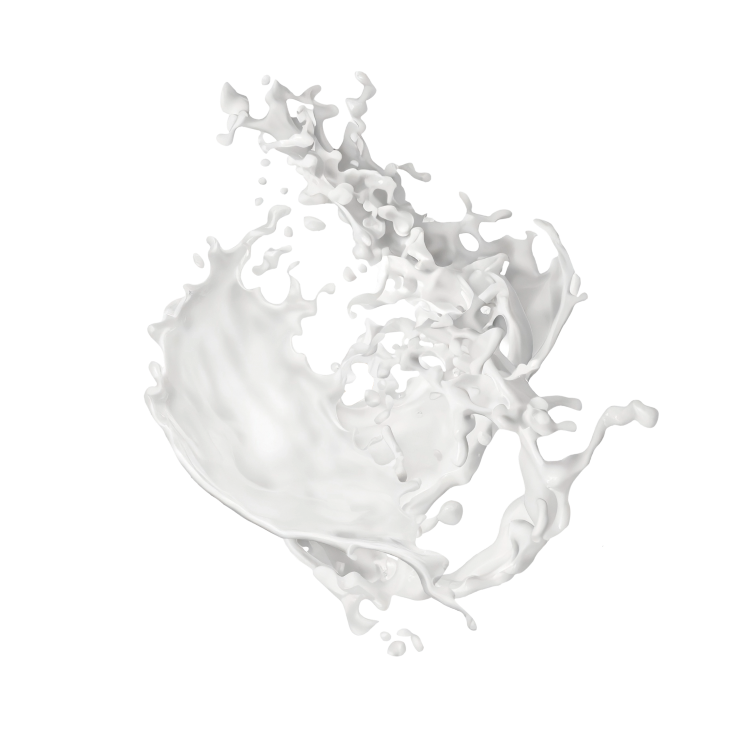 Splash Image