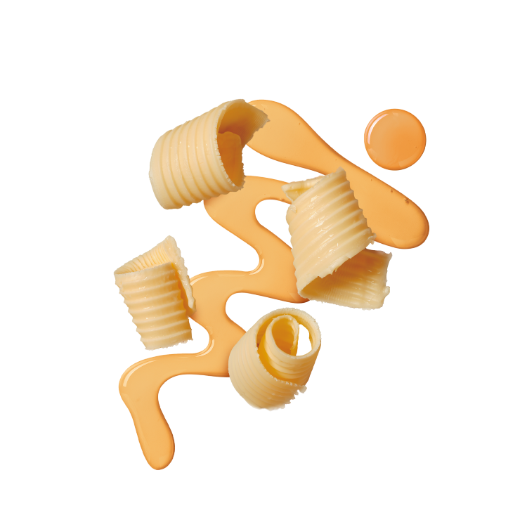 Splash Image