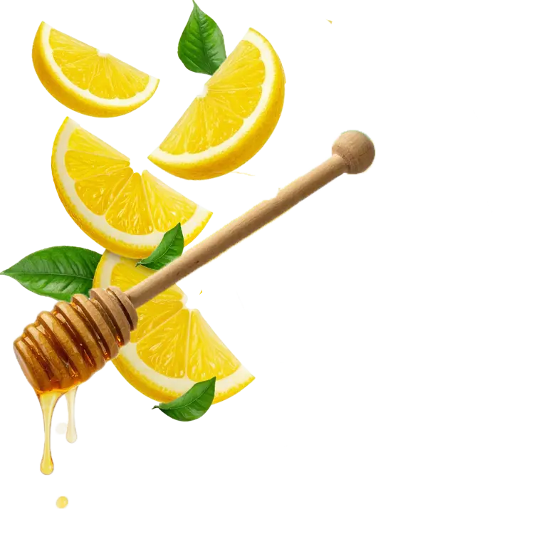 Splash Image
