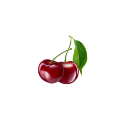 Cherry White Tea / 600g