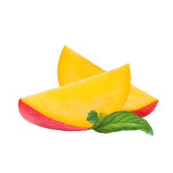 Juice Style Mango / 600g