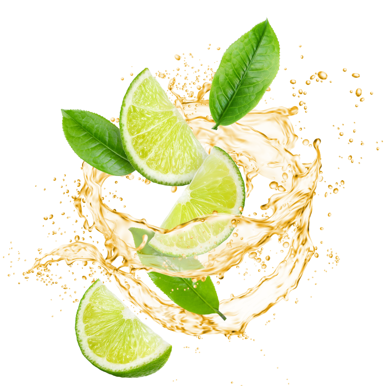 Splash Image
