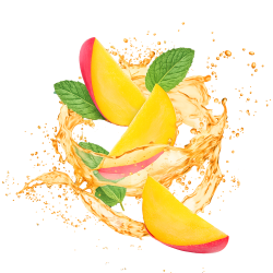 Lemonade Style Mango Mojito / 600g