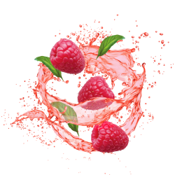 Lemonade Style Raspberry Mojito / 600g
