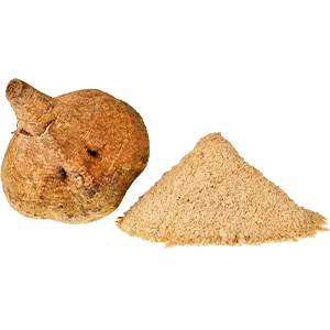 Maca-Wurzel