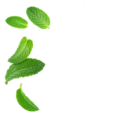 Mint / 30 x 5g