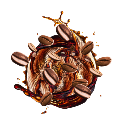Coffee Lover / 500g