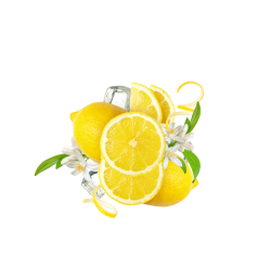 Lemonade Style Summer Lemon / 600g