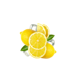 Lemon Iced Tea / 65ml