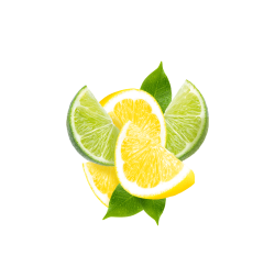 Lemon Lime Soda / 65ml
