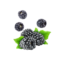 Blackberry / 65ml