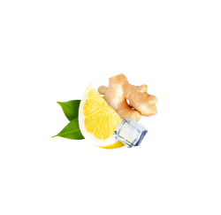Ginger Lemon / 65ml