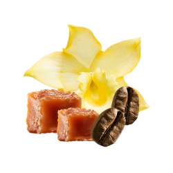 Crème Brûlée / 500g