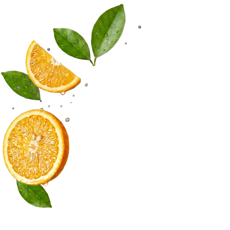 Splash Image