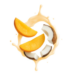 Mango Coconut / 500g