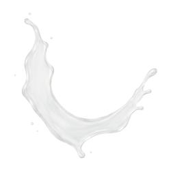 White Sugar / 65ml