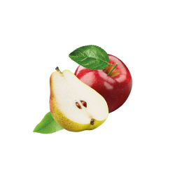 Apfel-Birne / 65ml