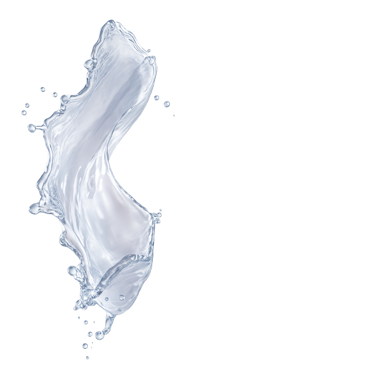 Splash Image