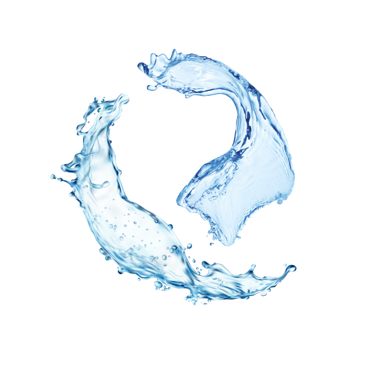 Splash Image