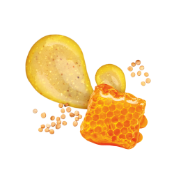 Honey Mustard / 285ml