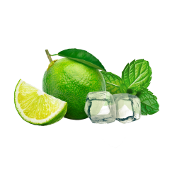 Lemonade Style Virgin Mojito / 600g