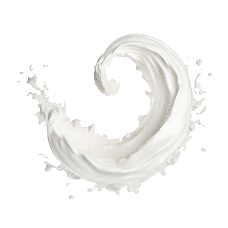 Splash Image