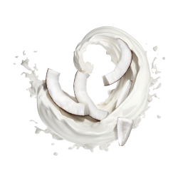 Coconut Milk / 50g Probe