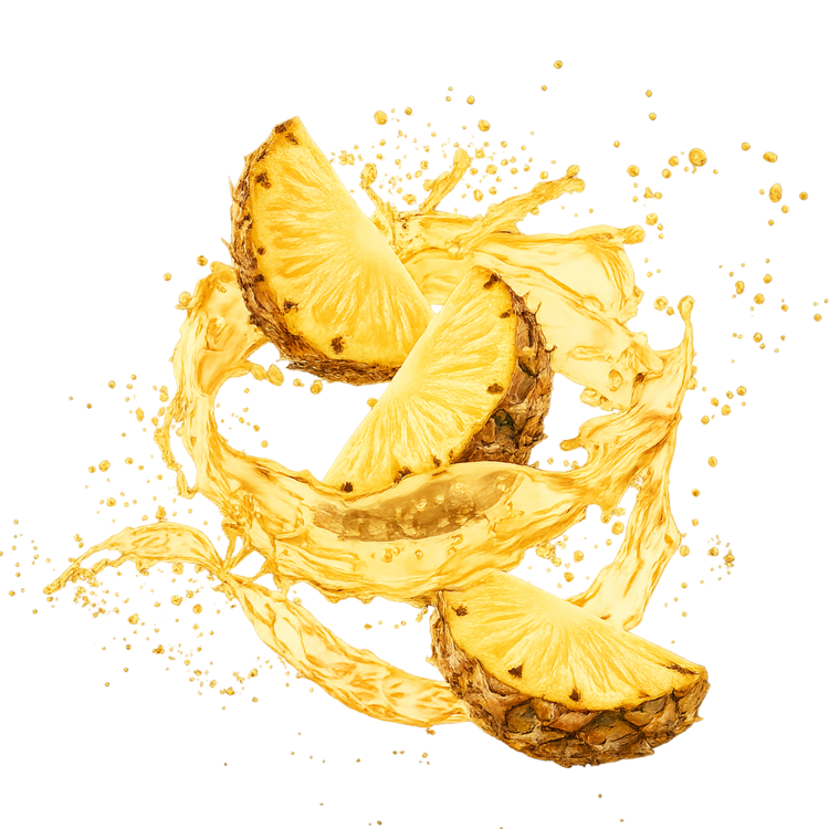 Splash Image