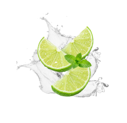 Mojito / 12 x 330ml