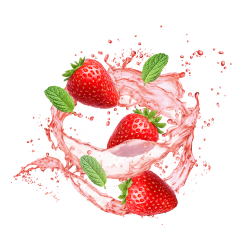 Infused Strawberry Mint / 65ml