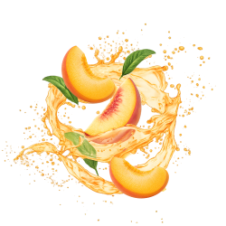 Peach Apricot / 65ml