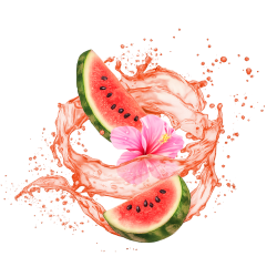 Watermelon Hibiscus / 65ml